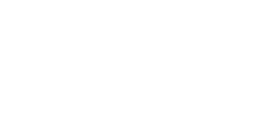 RECOVMAX